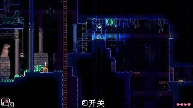 《动物井》解谜攻略：揭秘隐藏关卡，解锁神秘世界