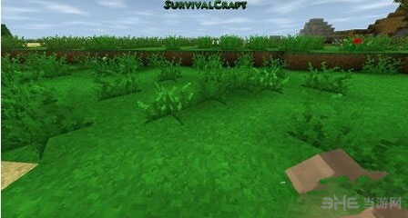 如何在我的世界中构建一个自给自足的自动化农场？2026年生存服核心基建门道揭秘