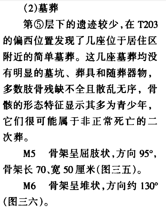田螺宏究竟是版本答案还是陷阱？深度拆解其核心机制与实战应用边界