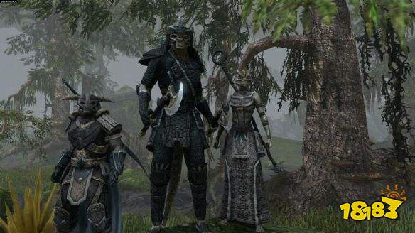 上古卷轴OL职业选择迷茫？深度解析六大职业门道与终极配装实战指南