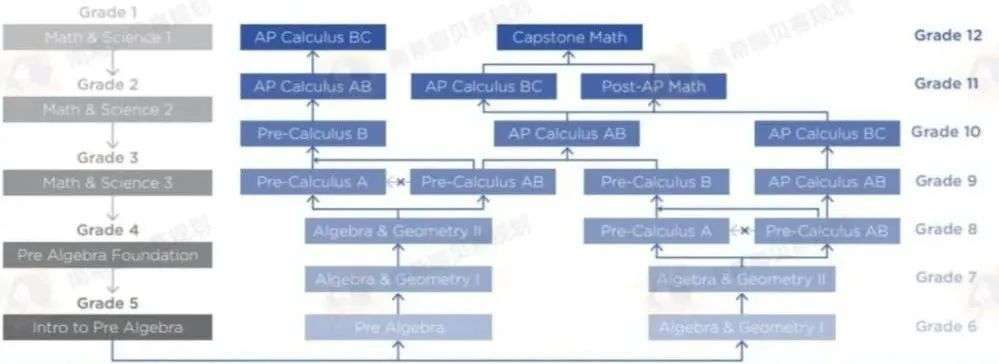 如何精准匹配柏肯类型？2026年实战选型指南与高阶场景深度拆解