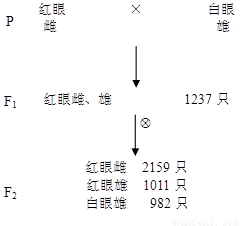 晚钟配方类型全解析，如何精准搭配出当前版本最热门的输出/辅助流派？