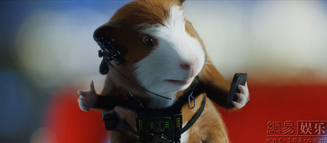 豚鼠特工队国语版哪里看最全？资深玩家揭秘2026年高口碑合家欢动画获取门道