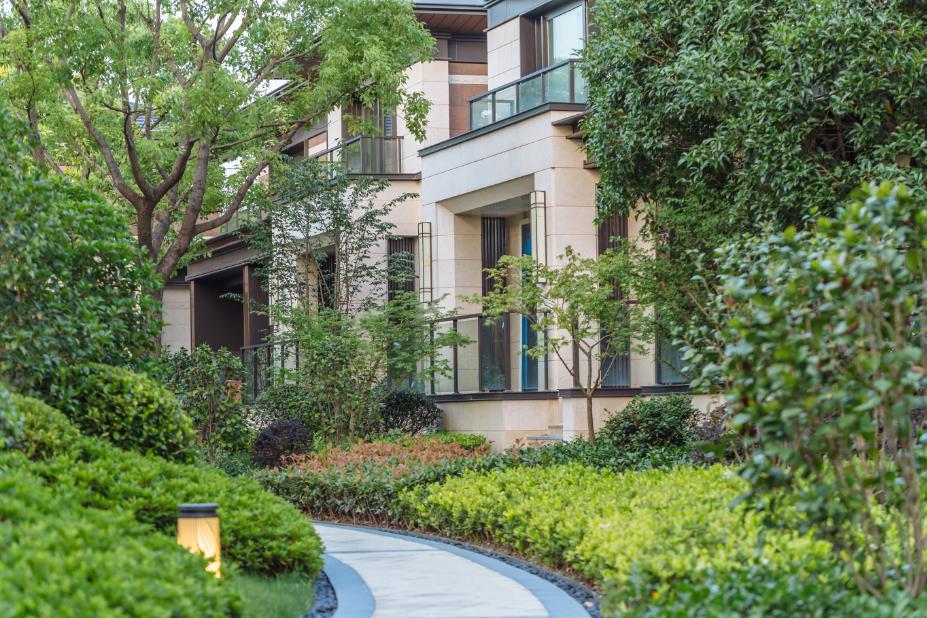 真三3.9D高手速成指南，如何利用版本稀缺资源实现中期碾压？