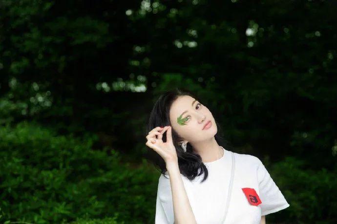 风云私服网深度解析，如何避开雷区并精准锁定你的专属传奇战场？