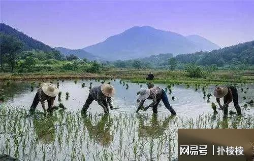 超越传统种田，KVK圣所争夺战中，如何利用奇观控制流实现国力逆袭？