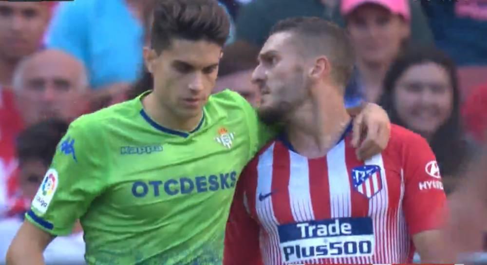 皇家卫士如何构建坚不可摧的防线？从角色定位到实战进阶全解