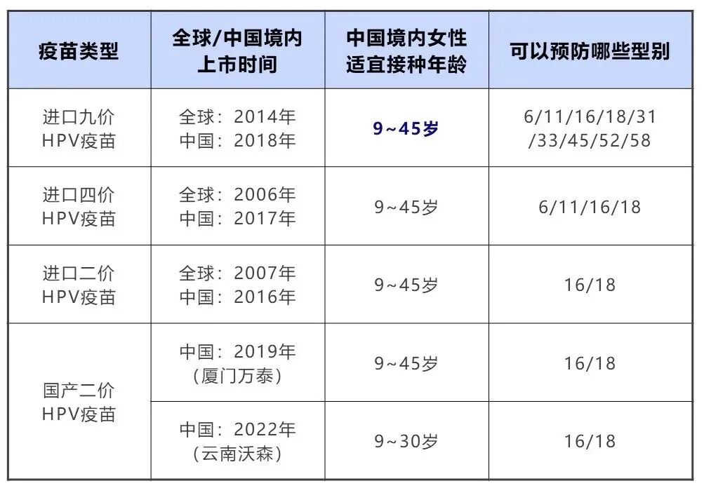 2026高阶玩家速成，疣克杀终极形态如何突破版本瓶颈？