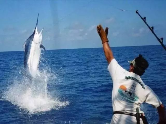 达奇钓鱼究竟是何方神圣？资深钓手为何痴迷于慢摇铁板与水面拖拉机？