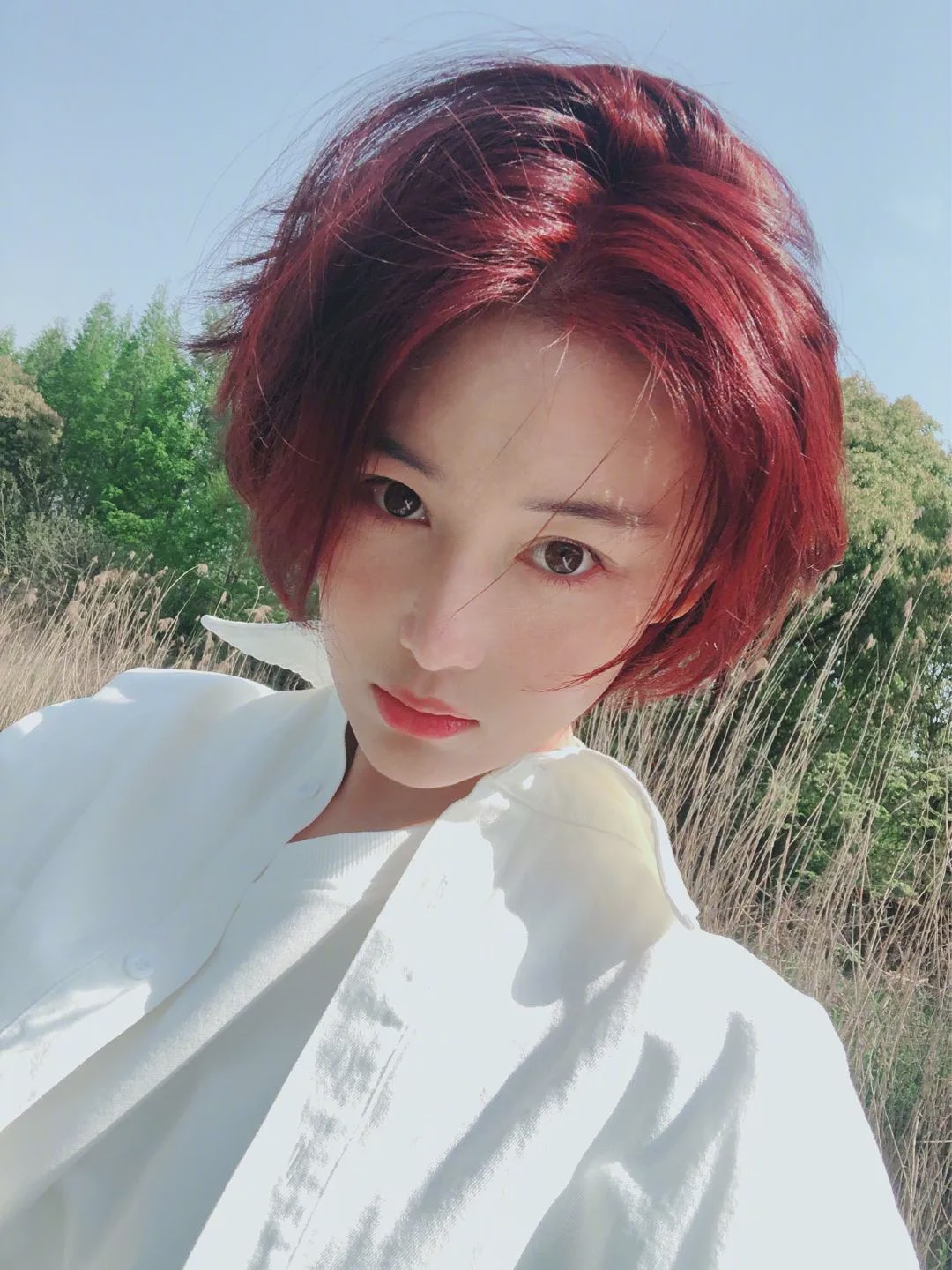 张馨予短发图鉴，从狗啃到狼尾，哪款能让你颜值开挂？