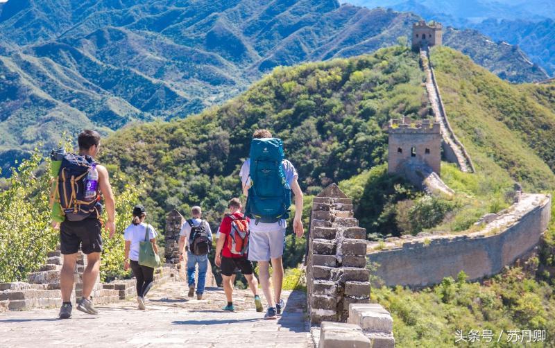 魔兽世界附魔图纸终极寻宝指南，如何精准锁定当前版本最热销的卷轴？