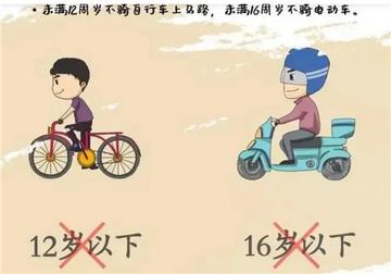 当车轮碾过亲情，法律剖析被碾压男童父亲可能承担的三大责任类型与自救指南