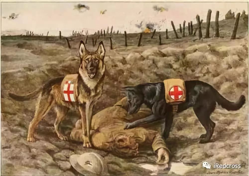 王牌空战游戏如何摆脱狗斗疲劳？2026年空中战术博弈新思路深度解析