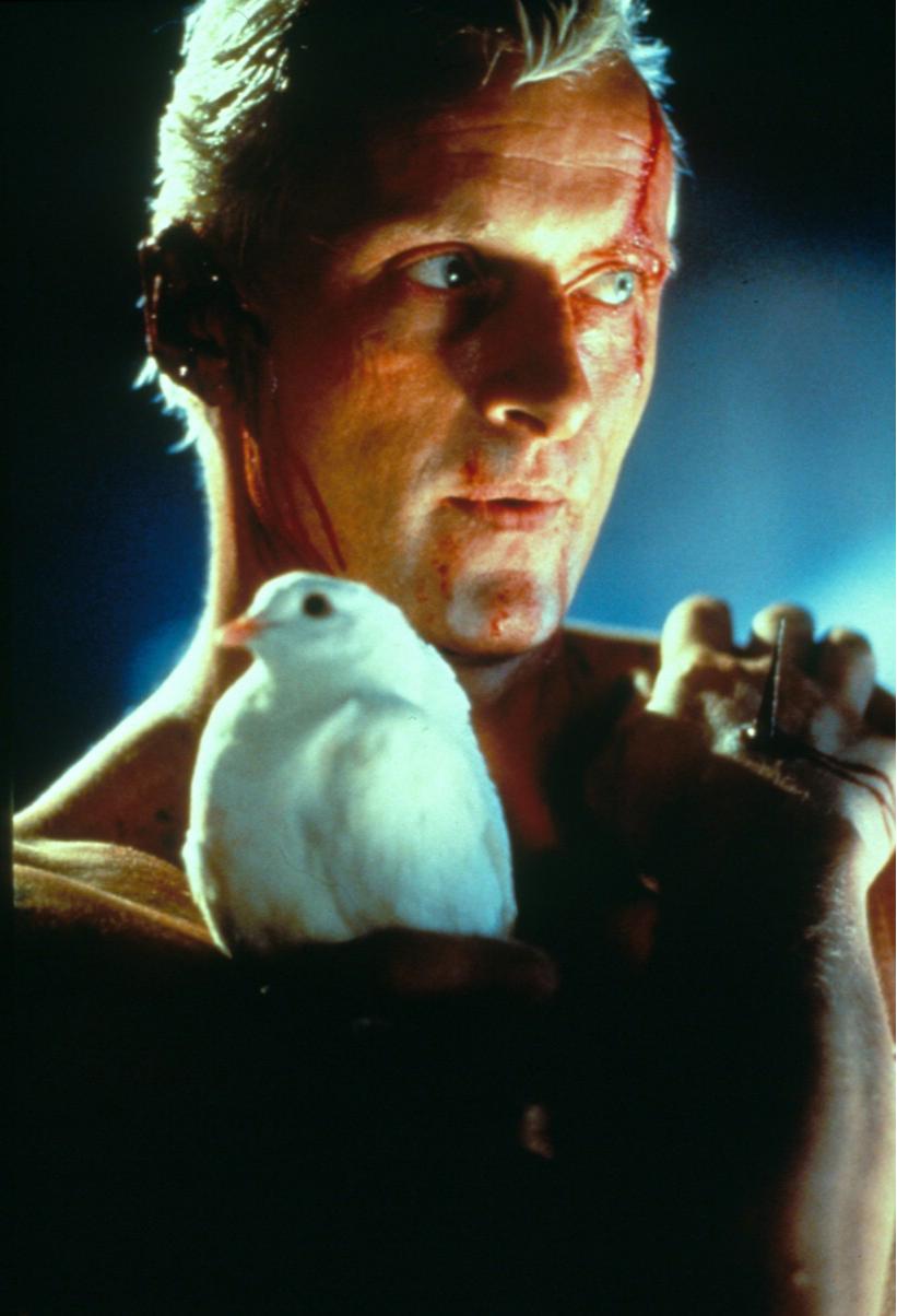 契约之战终极攻略，如何利用双英雄机制在2026赛季实现降维打击？