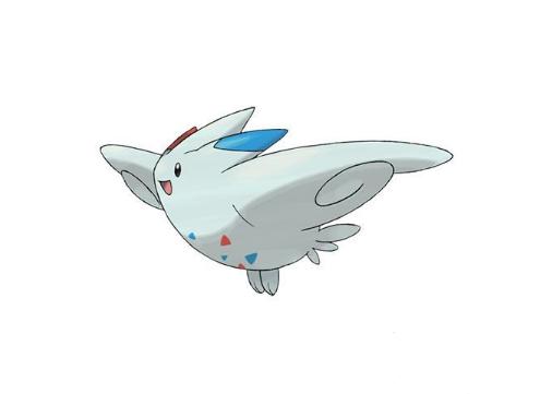 波克比进化路线图鉴，如何精准触发天恩飞机与踩影魔法的双形态抉择？