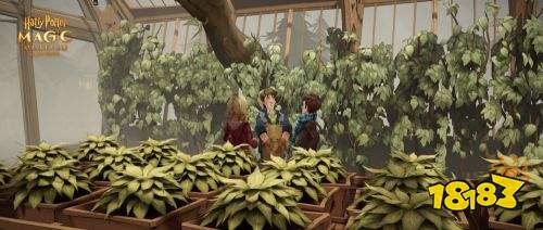 如何驯服哈利波特魔法觉醒中的打人柳？2026赛季高阶克制流全解析